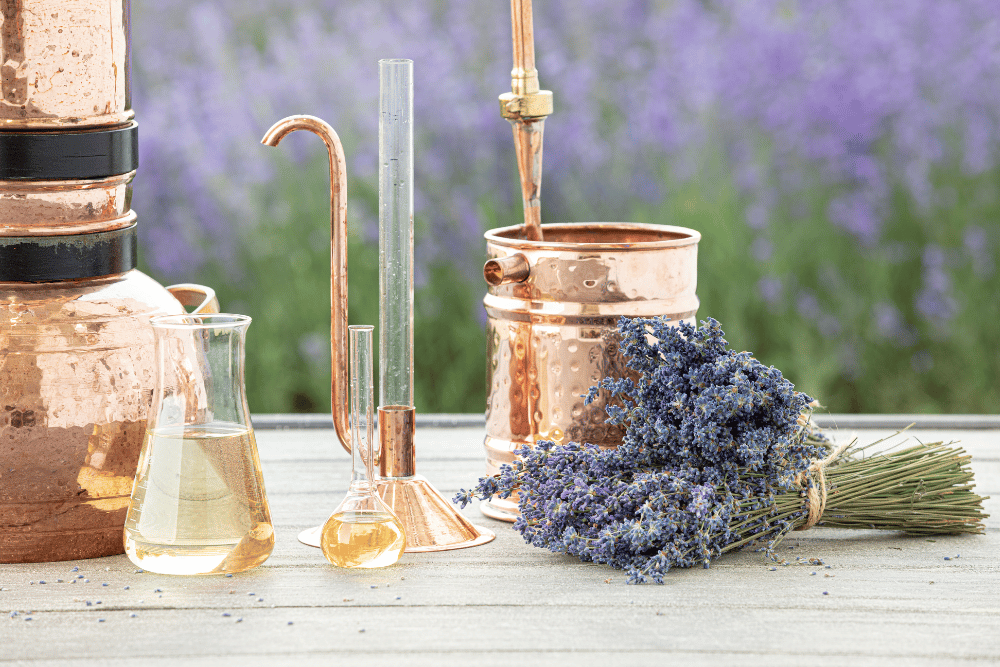 Why Extraction Methods Matter: Potency and Safety in Herbal Products