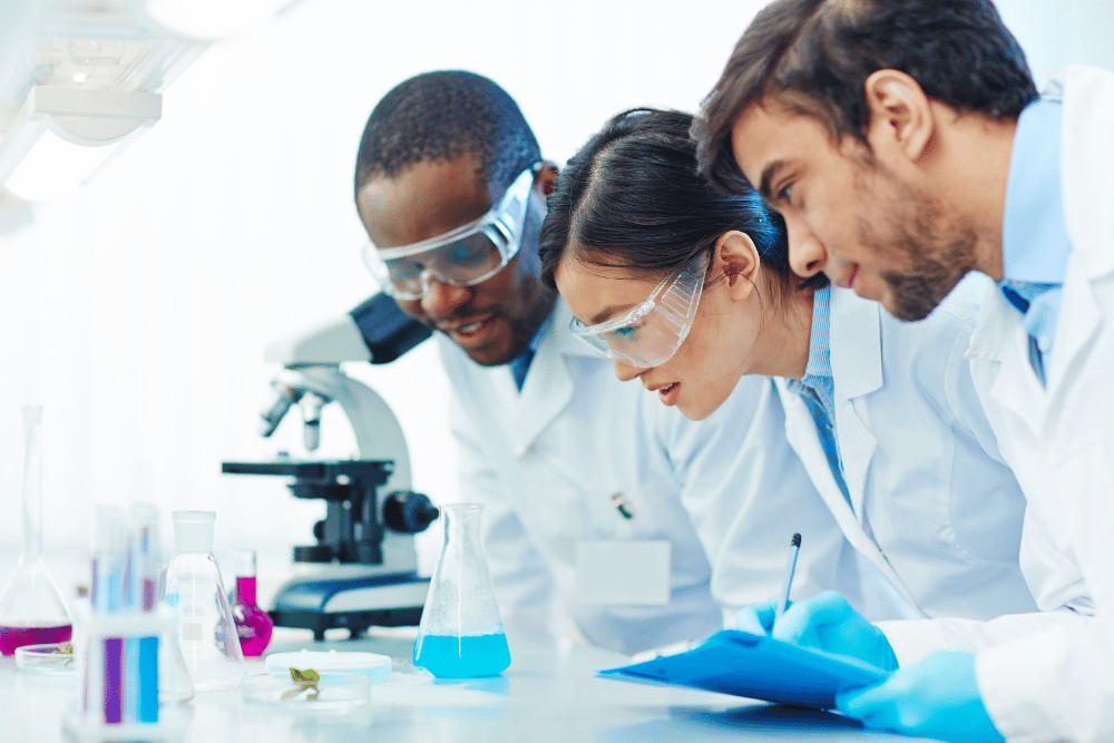 How to Read Scientific Studies on Herbal Products: A Simple Guide for South African Consumers
